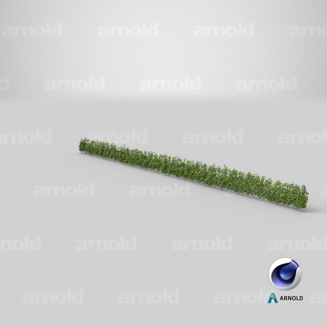 ivy patch 20x1 5m 3D model https://p.turbosquid.com/ts-thumb/ip/cP2N3C/LrSV1CbZ/stemcell_cinema_4d_arnold_render/png/1603135471/1920x1080/fit_q87/c2c9f0a6eb62dab3053f424595de6c161969fb8b/stemcell_cinema_4d_arnold_render.jpg