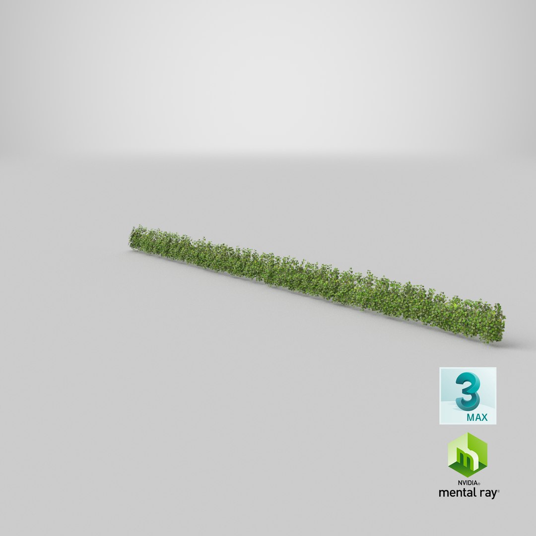 ivy patch 20x1 5m 3D model https://p.turbosquid.com/ts-thumb/ip/cP2N3C/gLFzGefC/stemcell_max_mental_ray_render/png/1603135478/1920x1080/fit_q87/c32f1013616a63114b5a4a052f2d6f565c16913c/stemcell_max_mental_ray_render.jpg