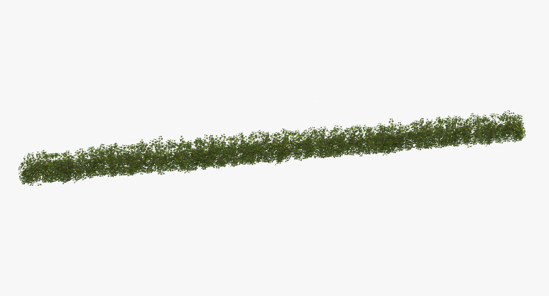 ivy patch 20x1 5m 3D model https://p.turbosquid.com/ts-thumb/ip/cP2N3C/iCycULc7/ivy_patch_20x1_5_thumbnail_0004/jpg/1600261769/1920x1080/fit_q87/00bd5f6ff6e394655d08180dc30a6ad946946757/ivy_patch_20x1_5_thumbnail_0004.jpg