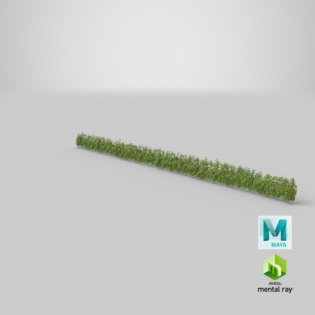 ivy patch 20x1 5m 3D model https://p.turbosquid.com/ts-thumb/ip/cP2N3C/lnaBD0F1/stemcell_maya_mental_ray_render/png/1603135487/1920x1080/fit_q87/69680d3f380e76f263aac3e81aa17602f9c55f40/stemcell_maya_mental_ray_render.jpg