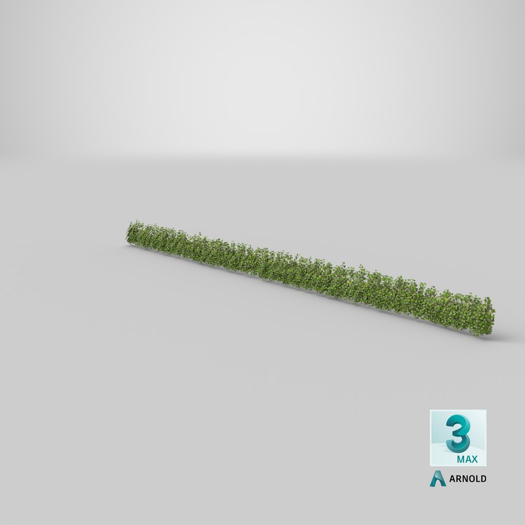 ivy patch 20x1 5m 3D model https://p.turbosquid.com/ts-thumb/ip/cP2N3C/mneqWfmJ/stemcell_max_arnold_render/png/1603135475/1920x1080/fit_q87/293674b208af7d9e68e69f22ab51e05dcc550c40/stemcell_max_arnold_render.jpg