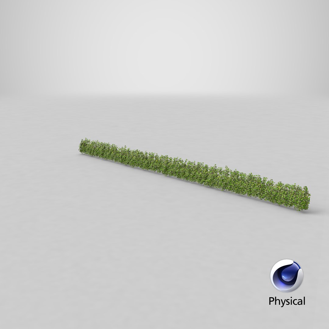 ivy patch 20x1 5m 3D model https://p.turbosquid.com/ts-thumb/ip/cP2N3C/v3W9gskH/stemcell_cinema_4d_physical_render/png/1603135469/1920x1080/fit_q87/02c7808d222a55ffb4461088d776d9ccb82b150f/stemcell_cinema_4d_physical_render.jpg