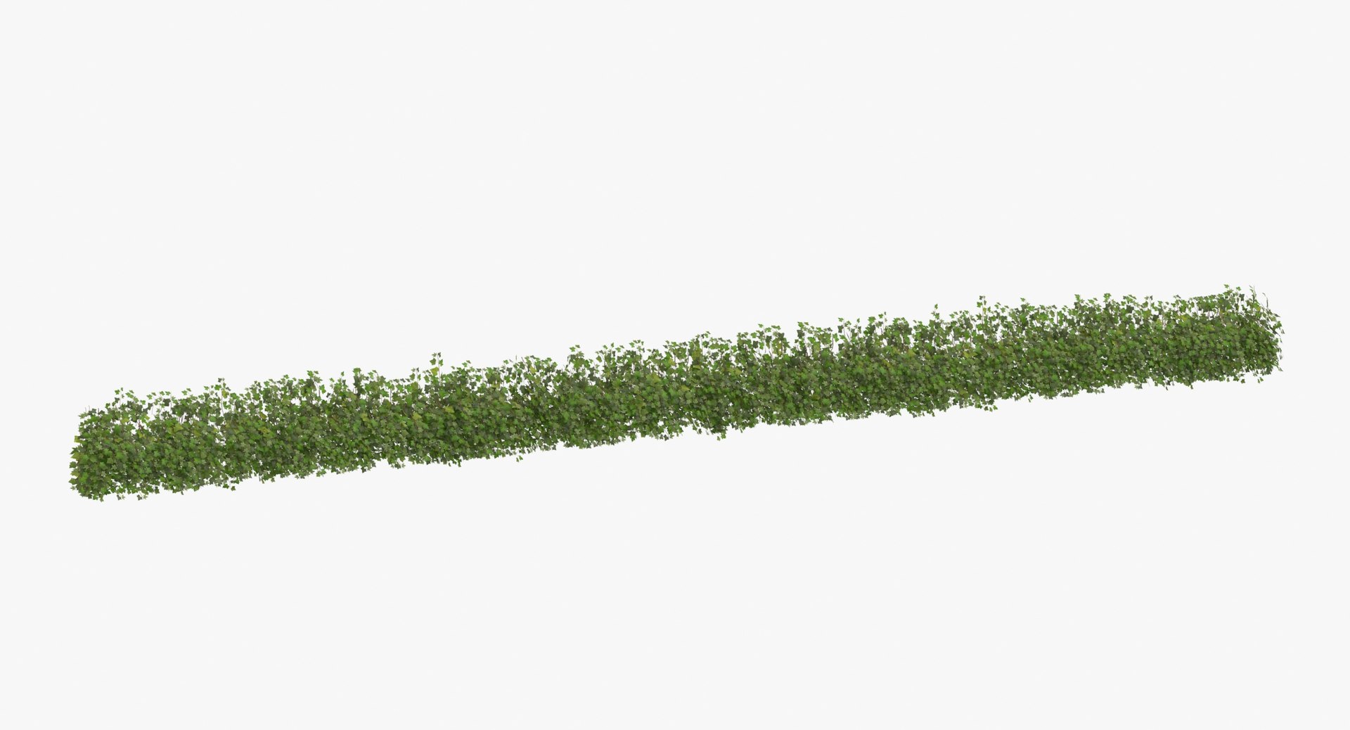 ivy patch 20x1 5m 3D model https://p.turbosquid.com/ts-thumb/ip/cP2N3C/yGagnFcL/ivy_patch_20x1_5_thumbnail_0005/jpg/1600261769/1920x1080/fit_q87/38d44af9e8f959a21de94ad711e288e7537869f8/ivy_patch_20x1_5_thumbnail_0005.jpg