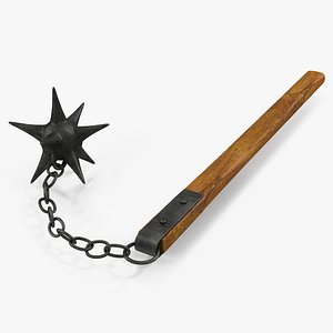long spiked flail 3d model