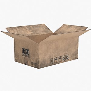 3D Cardboard Box 2 Worn Open