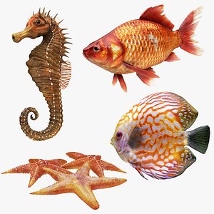 3D underwater animals 1