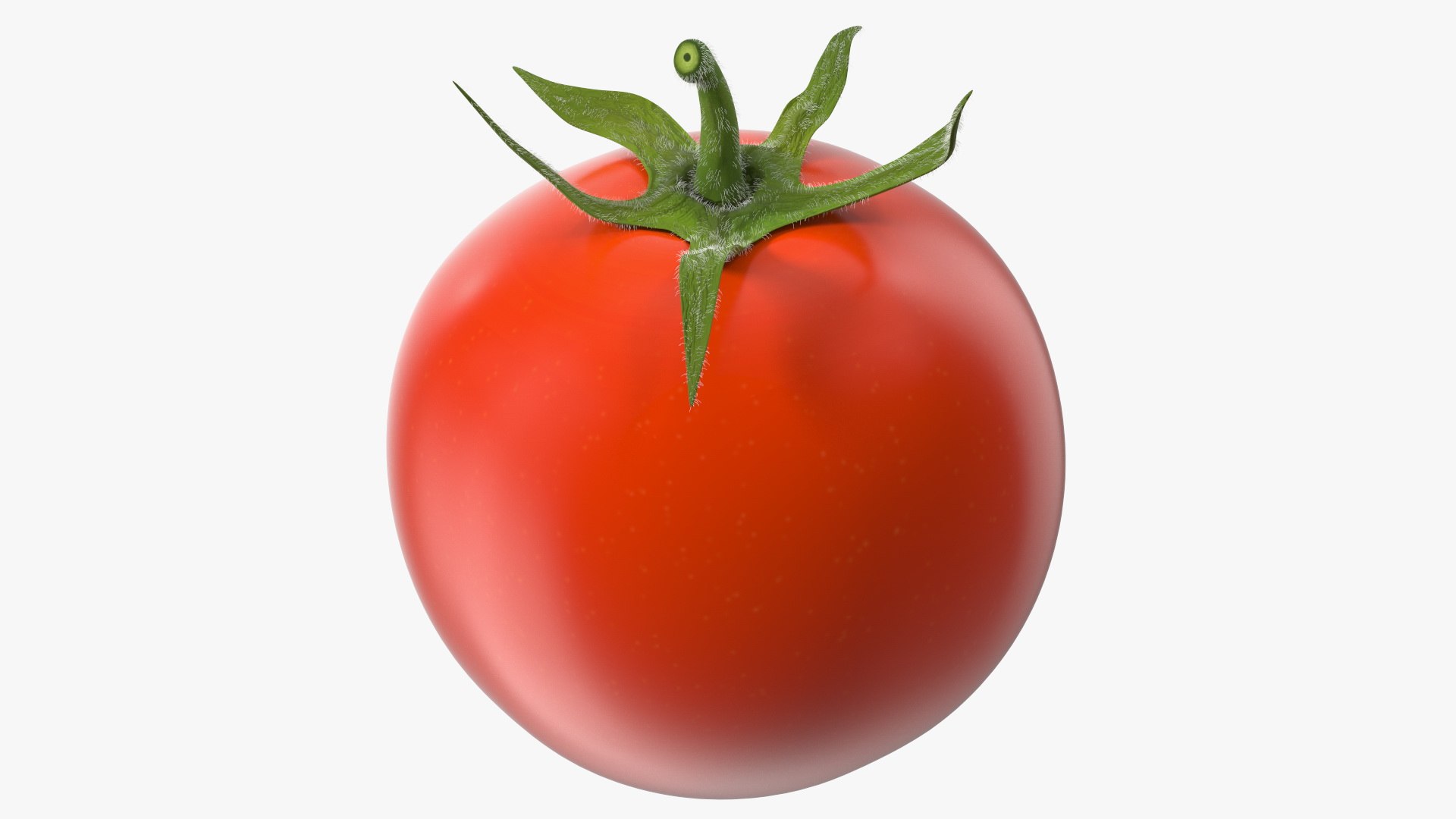 Red Cherry Tomato Fur 3D model preview