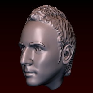 3D Male head 28 a man with a Iroquois