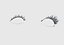Cils longs de base