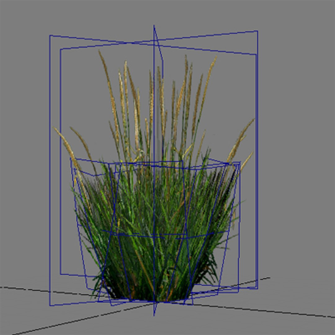 Maya Pc Grass