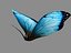 butterfly animation max free