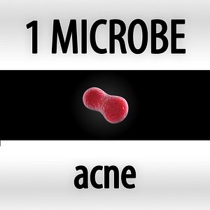 3d microbes micro organisms model