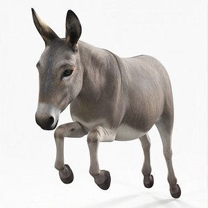 Mid-Jump Draft Donkey