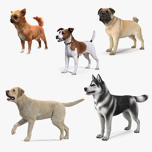 3D model Dogs Collection 4
