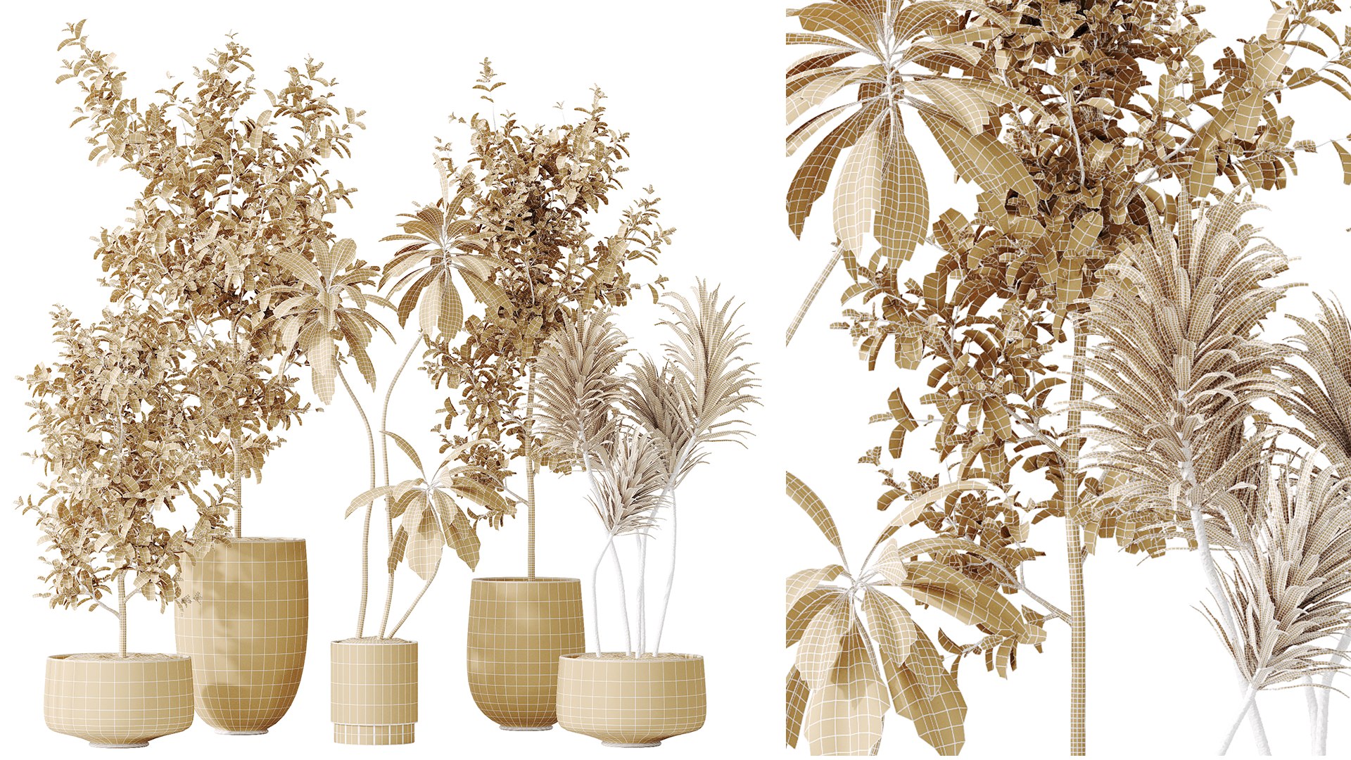 AV Indoor plants set 153 Beech Olea Europaea Olive Eucalyptu and Aloifolia Rostrata Palm and Ficus C 3D model https://p.turbosquid.com/ts-thumb/iq/LrHyW7/yN/07/png/1735627855/1920x1080/fit_q87/b51579513a8178e46ca0ac0ae416a810164dcad5/07.jpg