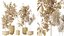 AV Indoor plants set 153 Beech Olea Europaea Olive Eucalyptu and Aloifolia Rostrata Palm and Ficus C