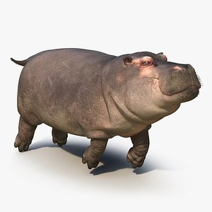 floating hippopotamus fur 3d max