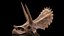 triceratops skull fossil 3D