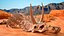triceratops skull fossil 3D