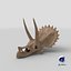 triceratops skull fossil 3D