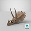 triceratops skull fossil 3D