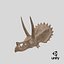 triceratops skull fossil 3D