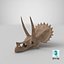 triceratops skull fossil 3D