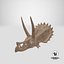 triceratops skull fossil 3D