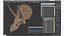 triceratops skull fossil 3D