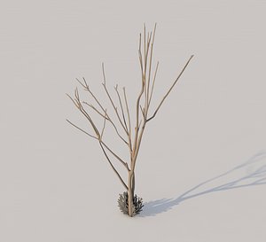 tree branch 3d model