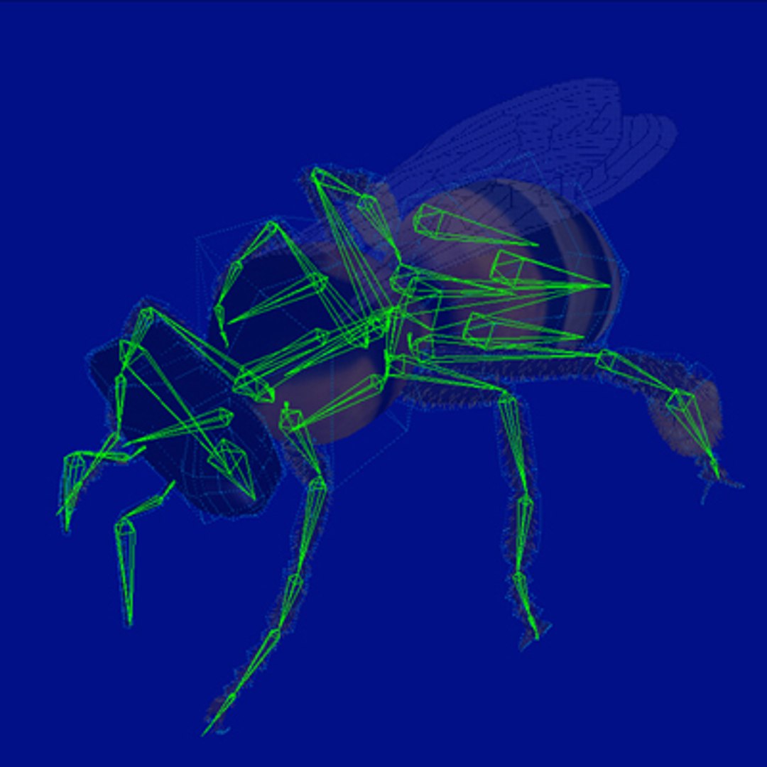 honey bee lightwave 3d model https://p.turbosquid.com/ts-thumb/iq/oUPZeW/9KlxwrmN/4x4level3left/jpg/1141255398/1920x1080/fit_q87/5114926d24f9c37ea4e70de21c87abb742563fd7/4x4level3left.jpg