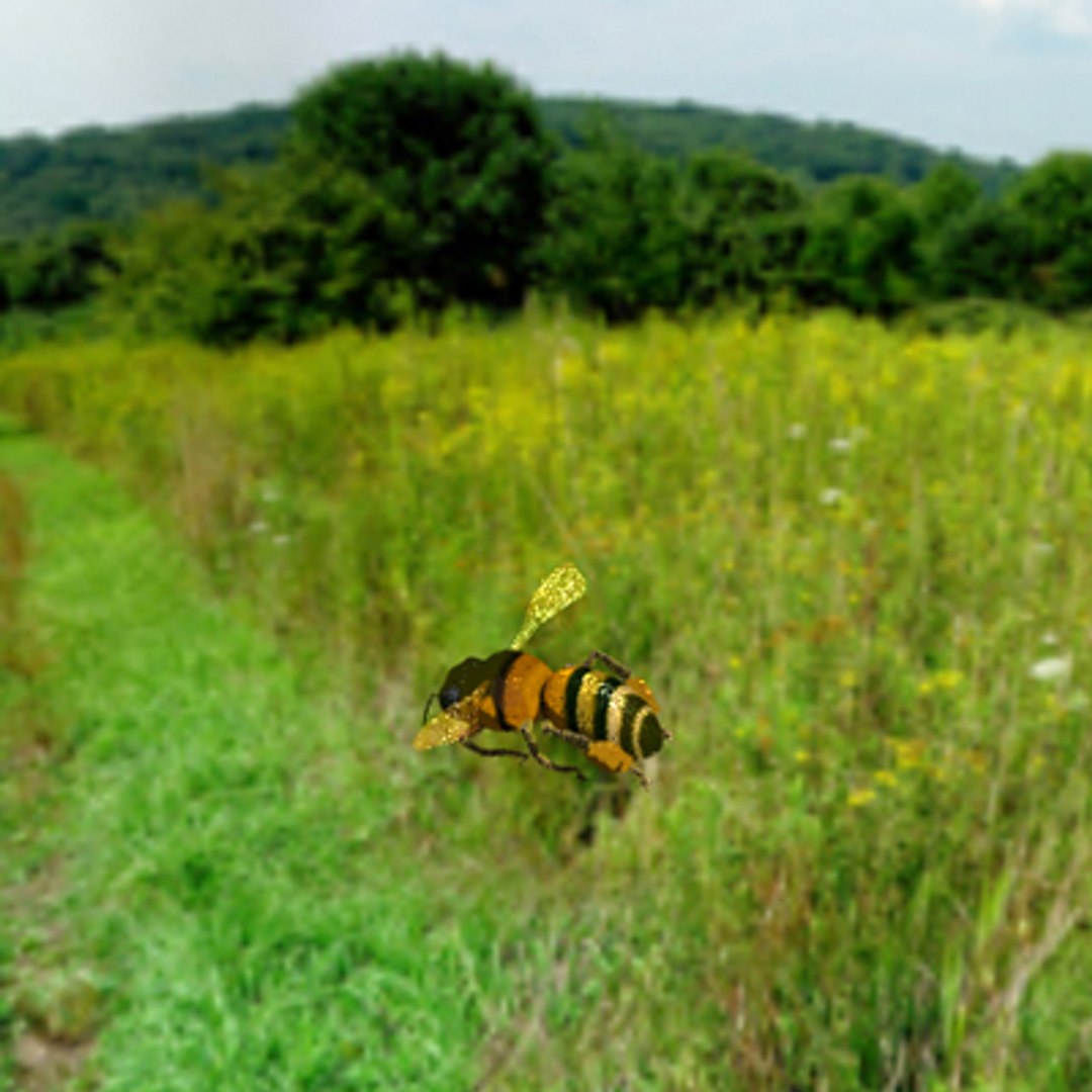 honey bee lightwave 3d model https://p.turbosquid.com/ts-thumb/iq/oUPZeW/B6vB35TK/4x4level4center/jpg/1141263664/1920x1080/fit_q87/f115e26032ca80094e4fa51de5b6c8692b56884c/4x4level4center.jpg
