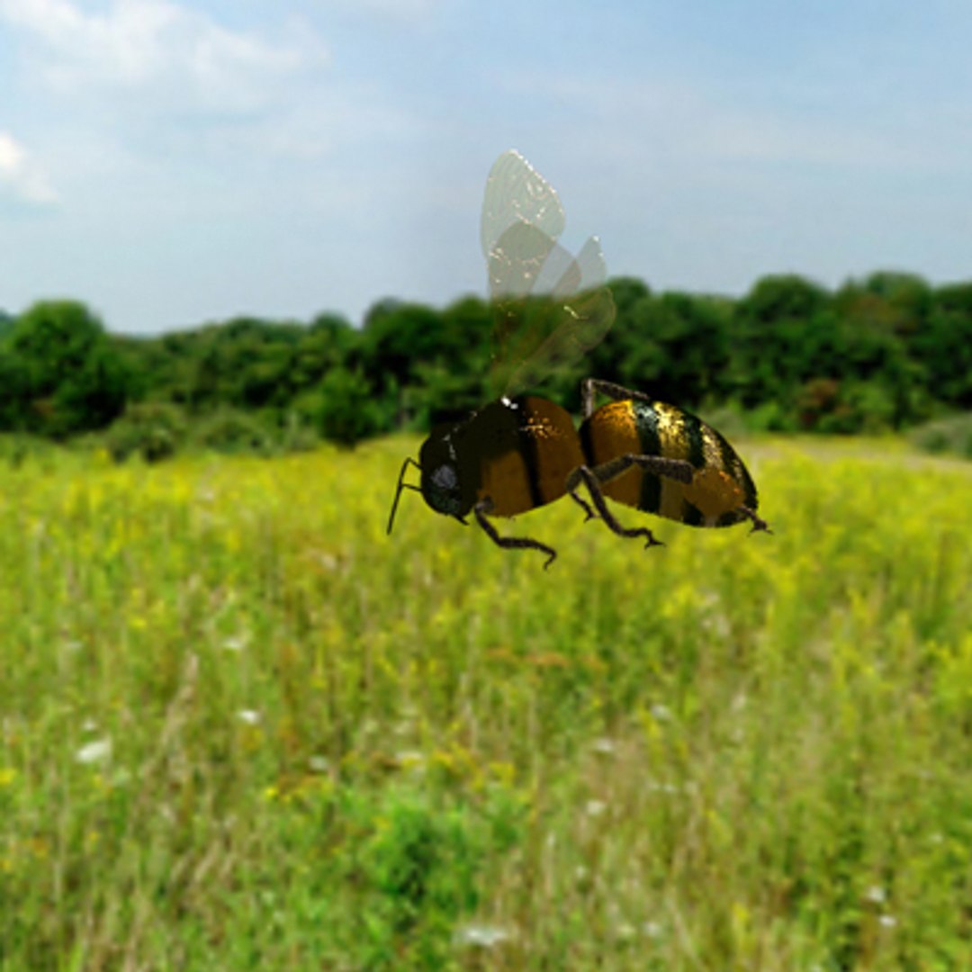 honey bee lightwave 3d model https://p.turbosquid.com/ts-thumb/iq/oUPZeW/af1CL27e/4x4topcenter/jpg/1141263694/1920x1080/fit_q87/75f9f613a97937f86885b658759f1c1df0ad3a49/4x4topcenter.jpg