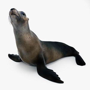 3d max seal scene ice