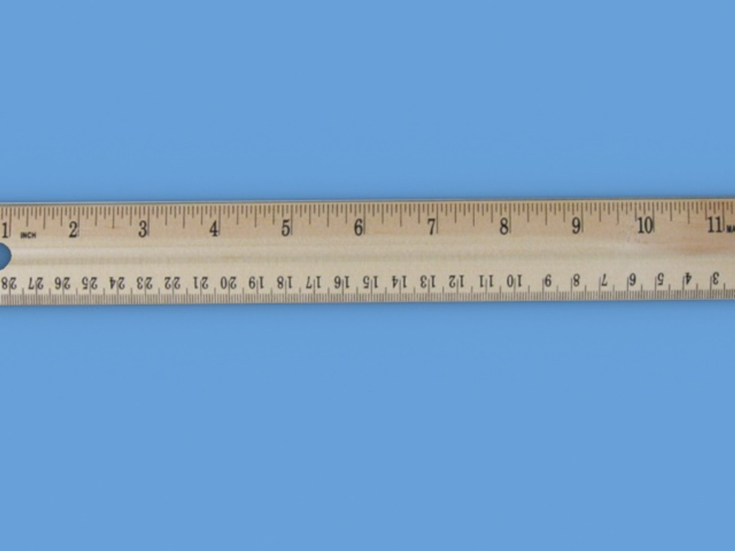 Ruler Inched Max