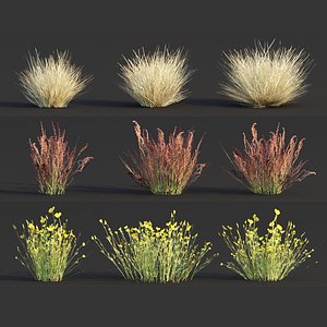 Low poly wild grass collection vol 246-3dmax-Blender