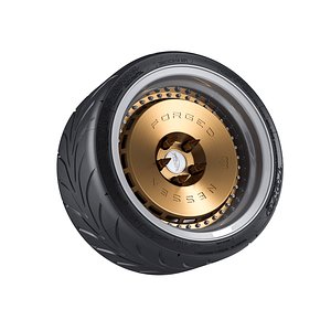 Nessen Forged M10.0 / Toyo Proxes R888