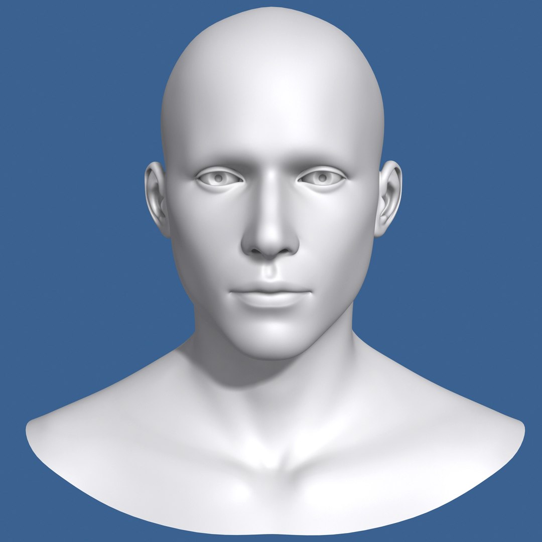 max polygonal male head character