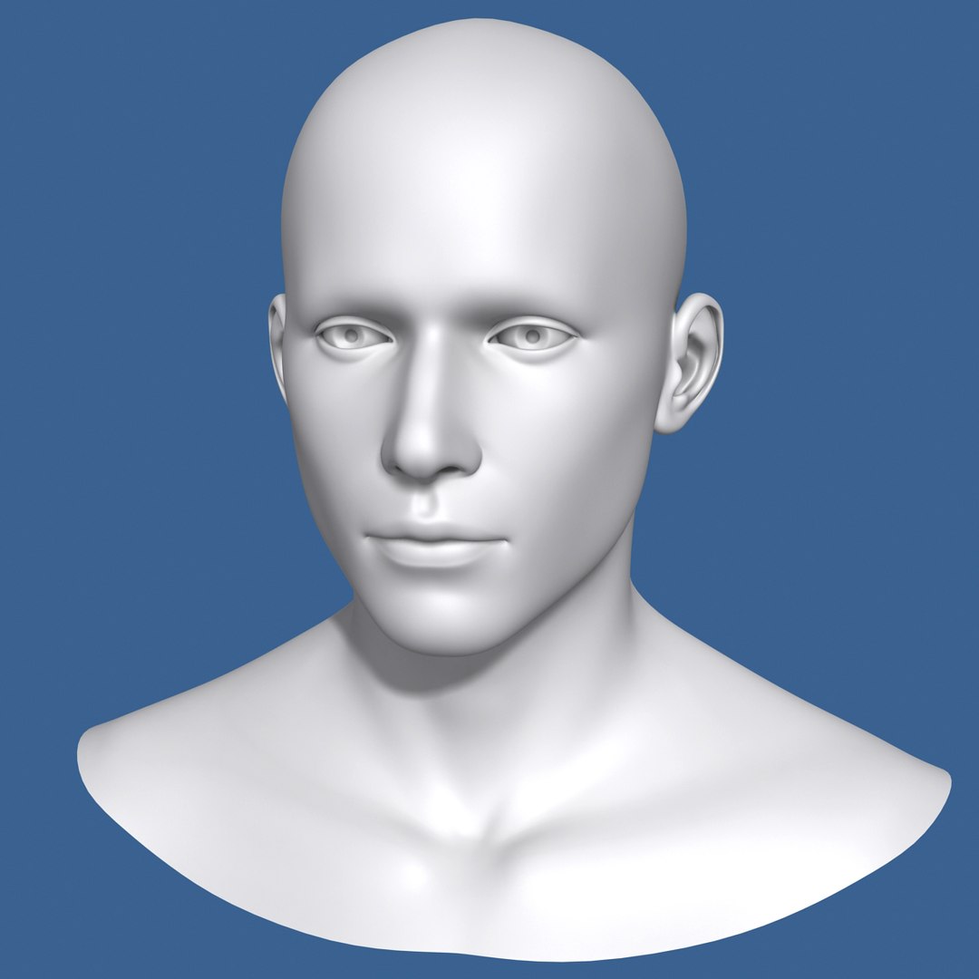 max polygonal male head character