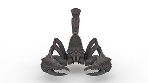 Scorpion 3D
