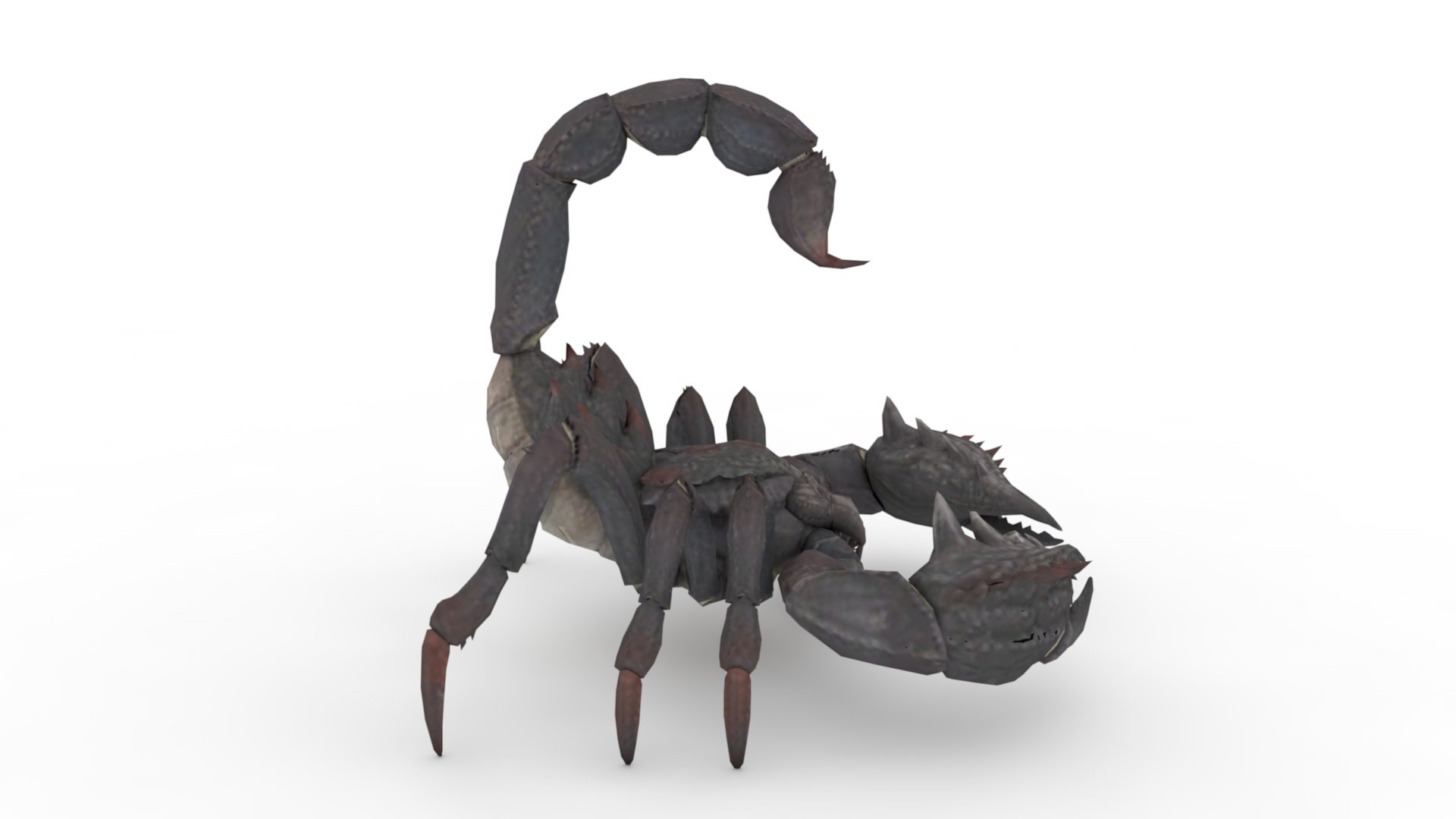 Scorpion 3D - TurboSquid 2051479