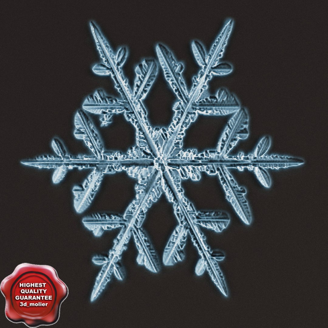 3d Snowflake V6
