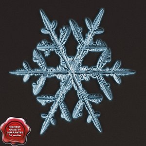 3d snowflake v6