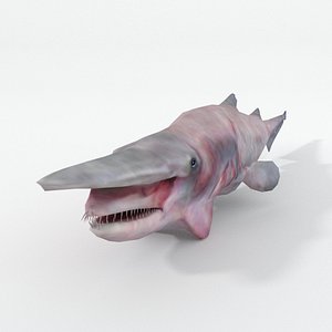 goblin shark model