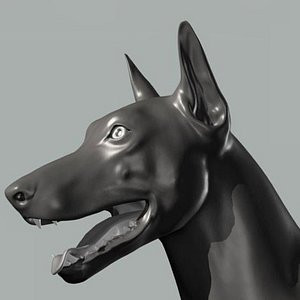 Dog ma mb