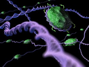DNA and Proteins