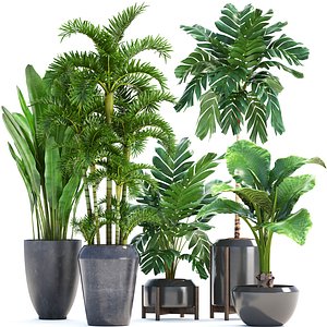 3D exotic plants model