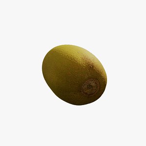 Anydrafts Actinidia chinensis 01