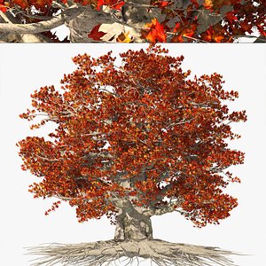 3D Weirwood winterfell tree