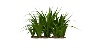 3D grass model